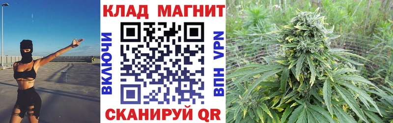 Как найти наркотики Михайловск МЕГА ONION  A-PVP  Гашиш  COCAIN  Каннабис 