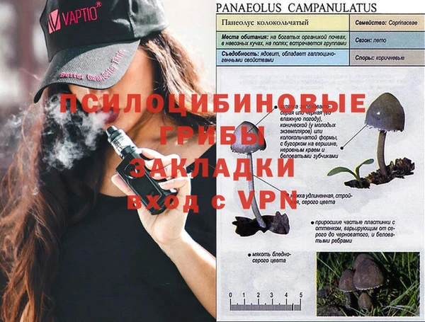 меф VHQ Новозыбков