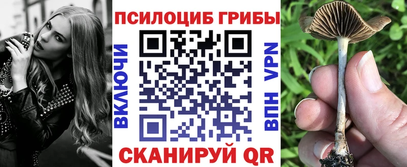 Галлюциногенные грибы Psilocybe  Михайловск 