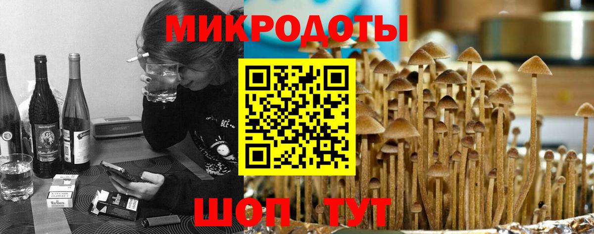 Галлюциногенные грибы прущие грибы Михайловск