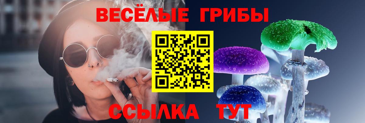 Галлюциногенные грибы Cubensis  Вход с VPN  Галлюциногенные грибы Cubensis  Михайловск 